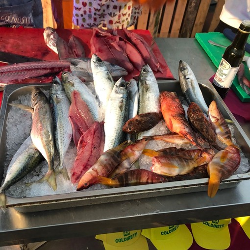Grande successo per il laboratorio sulla sfilettatura del pesce organizzato da Coldiretti Impresa Pesca Liguria