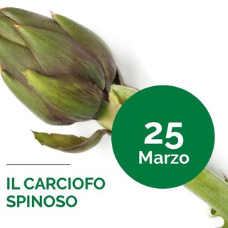 "Albenga in tavola": ecco dove trovare i prodotti a base di carciofo