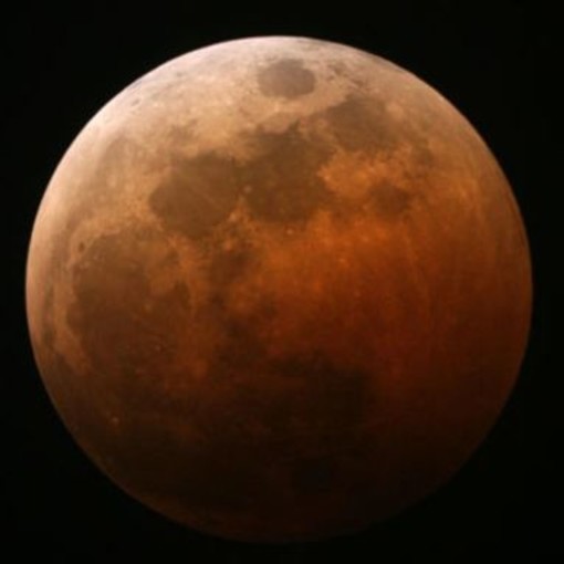 Gli Astrofili "Orione": "Ecco i segreti della super luna rossa" Gli Astrofili "Orione": "Ecco i segreti della super luna rossa"