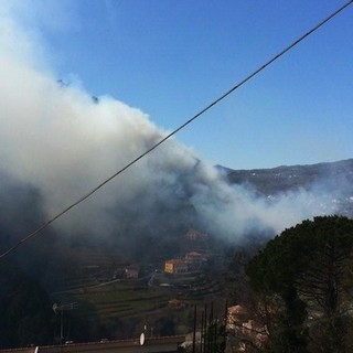 Immagine di repertorio