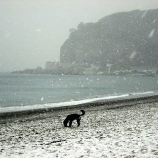 Immacolata "imbiancata": dall'8 dicembre arriva la neve