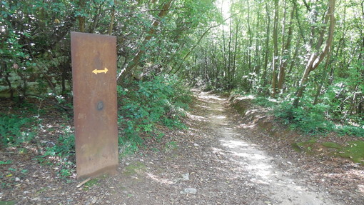 Cementificazione nel Rione di Varigotti, i Verdi savonesi precisano: "Il nostro iscritto Visconi non ha mai approvato questo progetto"