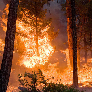 Mioglia, sotto controllo l'incendio boschivo: al via la bonifica