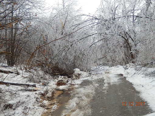 Gelo in arrivo, anche in Riviera temperature sotto lo zero