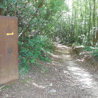 Cementificazione nel Rione di Varigotti, i Verdi savonesi precisano: "Il nostro iscritto Visconi non ha mai approvato questo progetto"