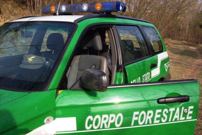 Savona: Primo Maggio, i controlli della forestale