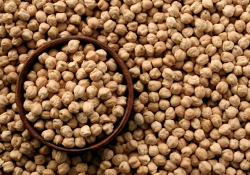 Savona, da giovedì a domenica torna la Sagra d'Autunno di Fratellanza e Milleluci