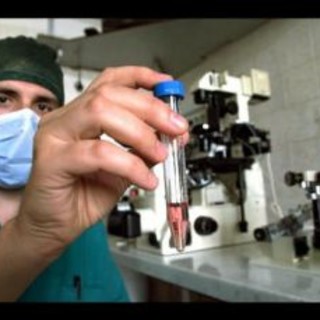 immagine di repertorio