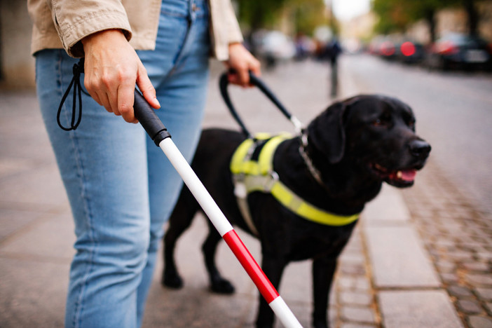 Con le ruote dell'auto schiaccia il bastone bianco di una non vedente: "Totale inciviltà, per fortuna il mio cane guida è illeso"
