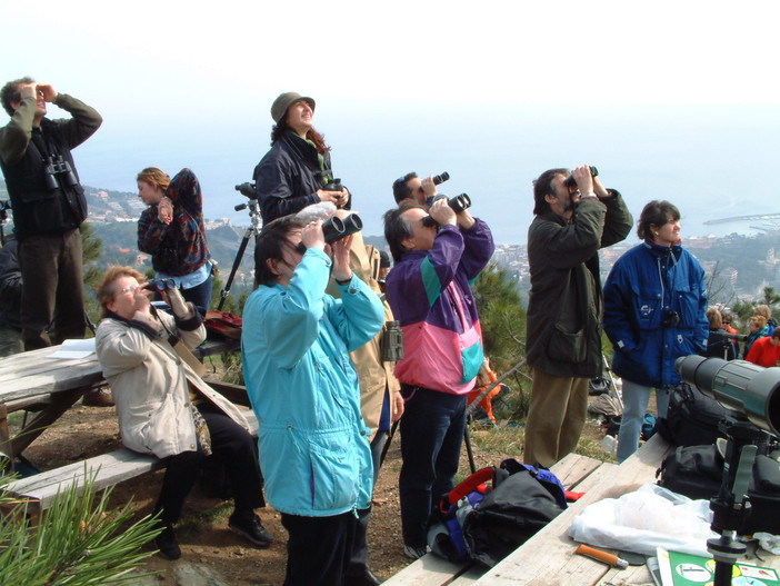 Parco del Beigua, domenica ritorna il "Biancone Day"