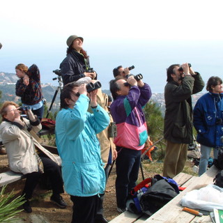 Parco del Beigua, domenica ritorna il "Biancone Day"