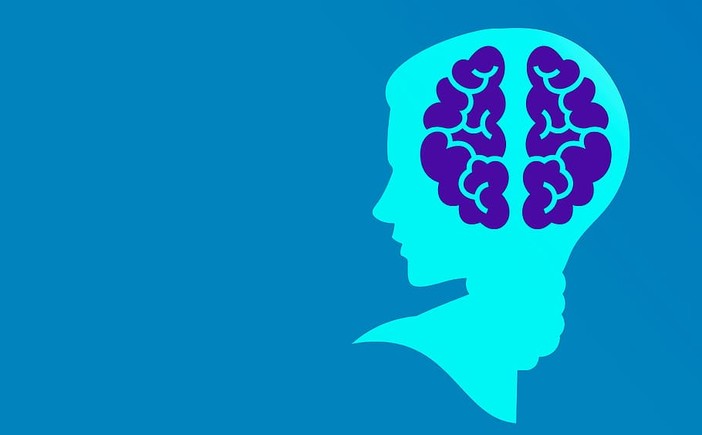 Come nasce un software di intelligenza artificiale Come nasce un software di intelligenza artificiale