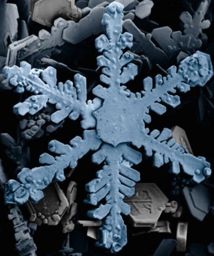 Allerta 1: forse nevica