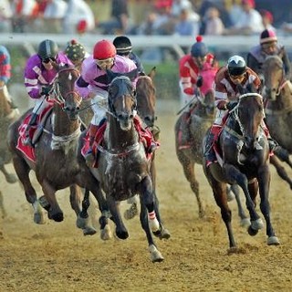 Al via la prima edizione del Triathlon Aleramico
