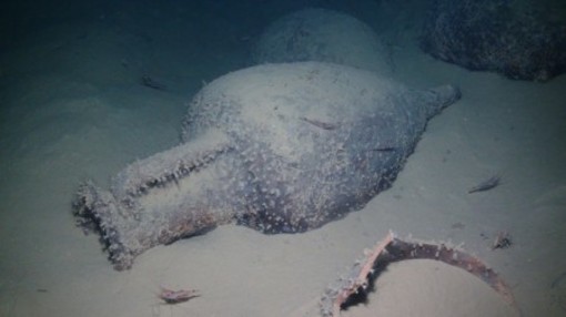 Archeologia subacquea, ad Albenga un pomeriggio alla scoperta dei relitti di Bergeggi e di Pria Pula