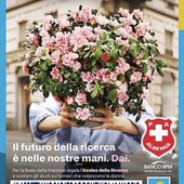 Festa della Mamma, la Croce Bianca torna in piazza per l’Azalea della Ricerca Festa della Mamma, la Croce Bianca torna in piazza per l’Azalea della Ricerca