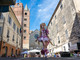 L'associazione Vecchia Albenga organizza il 15° concorso fotografico denominato “Fiori di Liguria”