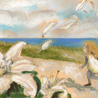 Celle Ligure, decima edizione del concorso di illustrazione “Disegni al sole”