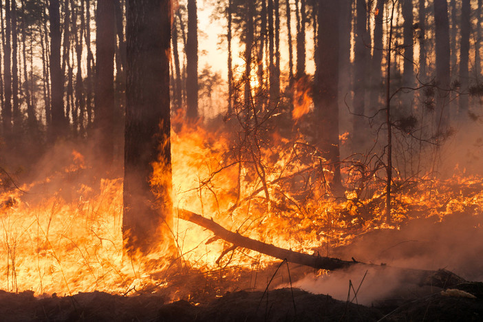 Incendi boschivi, l'assessore Mai: “Dichiarato lo stato di grave pericolosità nelle province di Savona e Imperia”