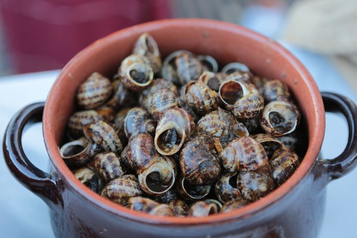 Ph Tomasinelli Ph Tomasinelli