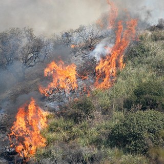 Incendi e siccità, l'Enpa chiede alla Regione di sospendere la caccia alla fauna migratoria