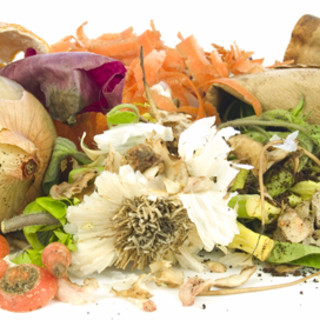 A Vado Ligure due giornate all'insegna della sostenibilità e della riduzione degli sprechi in cucina A Vado Ligure due giornate all'insegna della sostenibilità e della riduzione degli sprechi in cucina
