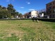 immagine di repertorio: l'area cani del quartiere Pontelungo
