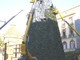 Savona: Enpa &quot;un albero di Natale artificiale per il Comune&quot;