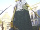 Savona: Enpa "un albero di Natale artificiale per il Comune"