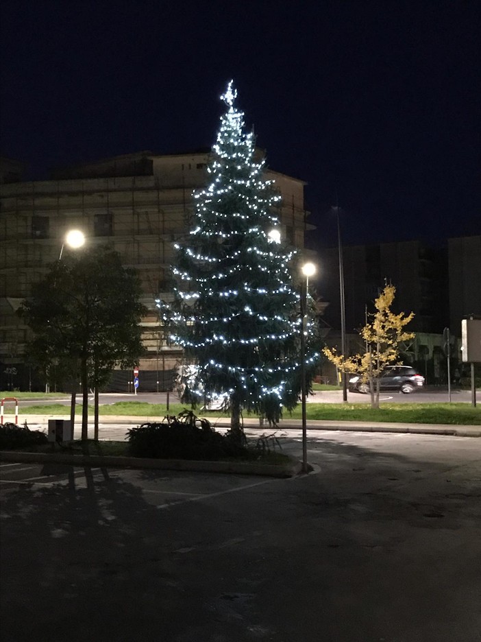 Grande attesa a Borghetto Santo Spirito per l'accensione dell'albero di Natale Grande attesa a Borghetto Santo Spirito per l'accensione dell'albero di Natale