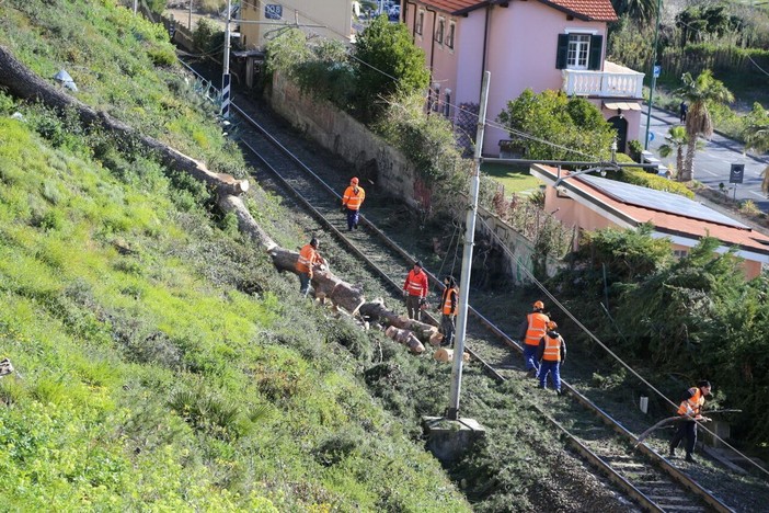 Raffiche di vento fino a 125 chilometri orari in Provincia di Savona: linea ferroviaria interrotta Raffiche di vento fino a 125 chilometri orari in Provincia di Savona: linea ferroviaria interrotta