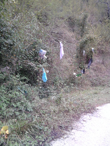A Cairo Montenotte spunta l'albero della spazzatura