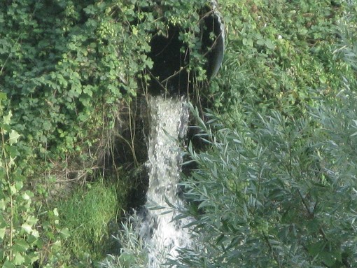 Arsenico nell'acqua di Tarquinia ed altri 35 comuni Arsenico nell'acqua di Tarquinia ed altri 35 comuni