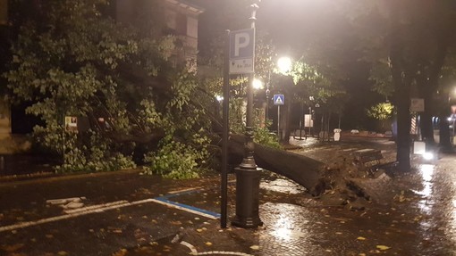 Il forte vento flagella il savonese: disagi in tutta la provincia (FOTO e VIDEO) Il forte vento flagella il savonese: disagi in tutta la provincia (FOTO e VIDEO)