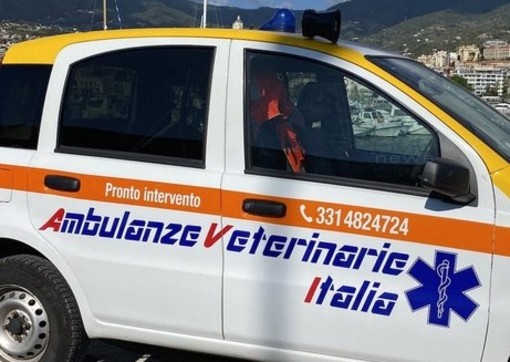 immagine di repertorio immagine di repertorio