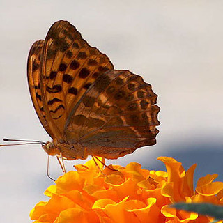 Con il programma ELENA la Provincia promuoverà 42 milioni di investimenti sul territorio savonese