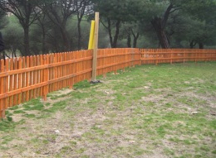 Albenga, ok della Giunta Comunale all'area dedicata ai cani Albenga, ok della Giunta Comunale all'area dedicata ai cani