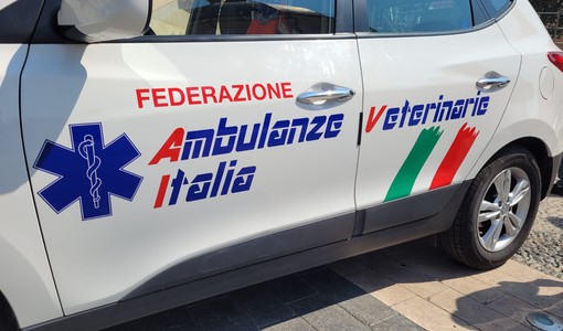 Loano, rinnovata la convenzione per il servizio di ambulanza veterinaria