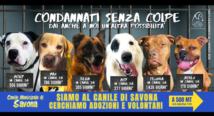 "Condannati senza colpe": per le vie di Savona l'appello della Lega Nazionale per la Difesa del Cane "Condannati senza colpe": per le vie di Savona l'appello della Lega Nazionale per la Difesa del Cane