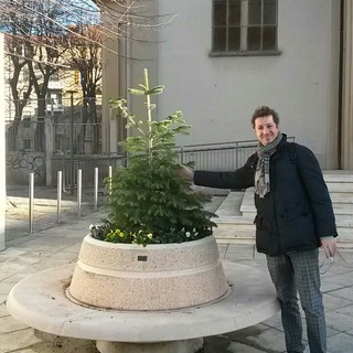 Savona: il consigliere Venturelli dona due alberi a piazza Bologna