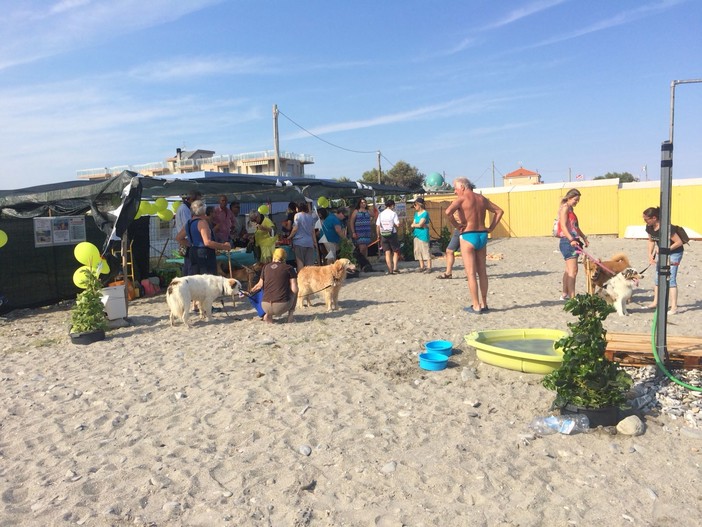 Albenga, riaperta la spiaggia Enpa "Amare Fido" (FOTO) Albenga, riaperta la spiaggia Enpa "Amare Fido" (FOTO)