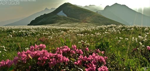 Il Cai di Loano in gita sociale all'Antoroto