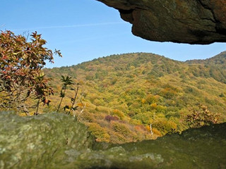 Il parco dell'Adelasia