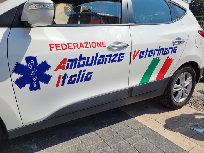 Loano, rinnovata la convenzione per il servizio di ambulanza veterinaria Loano, rinnovata la convenzione per il servizio di ambulanza veterinaria