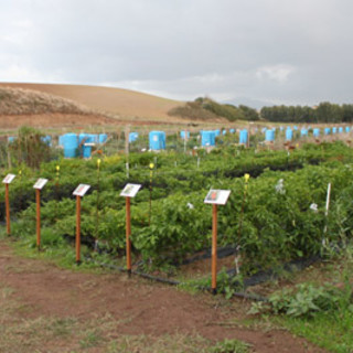 L'agronomo Gianluigi Nario vincitore del Premio Pietro Di Donato