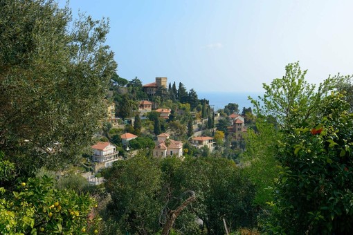 Alassio, tra storia, arte e natura: dalle chiese collinari alle pinacoteche, un invito a scoprire il patrimonio della città Alassio, tra storia, arte e natura: dalle chiese collinari alle pinacoteche, un invito a scoprire il patrimonio della città