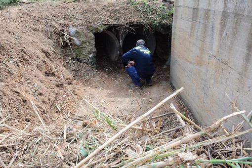 Albenga tenta il tutto e per tutto per trovare i fondi per la messa in sicurezza di rio Fasceo e Carendetta