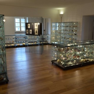 Andora, la nuova collezione di minerali del museo "Dabroi" oggetto di una tesi di laurea all’Università di Genova Andora, la nuova collezione di minerali del museo "Dabroi" oggetto di una tesi di laurea all’Università di Genova