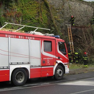 Il maltempo si abbatte sulla nostra provincia: a Savona un albero crolla nei pressi della via Aurelia (FOTO) Il maltempo si abbatte sulla nostra provincia: a Savona un albero crolla nei pressi della via Aurelia (FOTO)