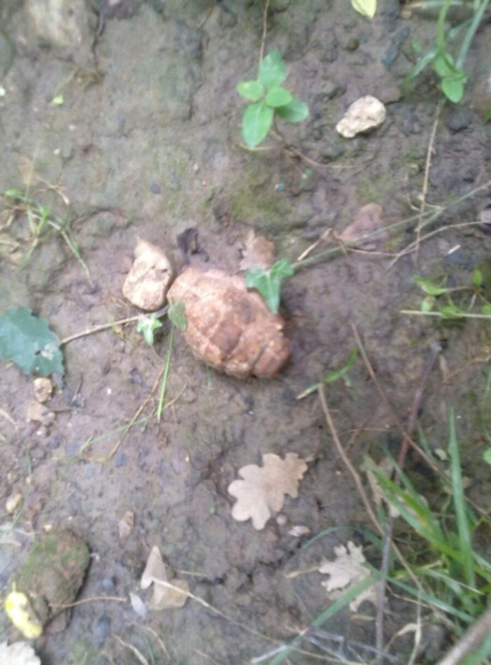 Albenga: bomba a mano scoperta nel greto del Rio Carenda Albenga: bomba a mano scoperta nel greto del Rio Carenda